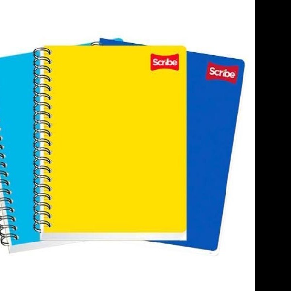 CUADERNO PROF. CLASICO SCRIBE 2901 DIBUJO ESP. 100H. C.24